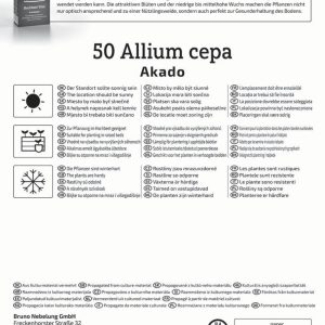 Akado Lilahagyma dughagyma / Kiepenkerl