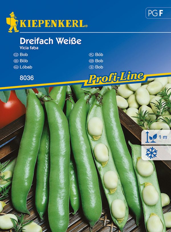 Lóbab Dreifach Weisse fajta vetőmag