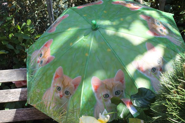 Kiscicás gyermek esernyő