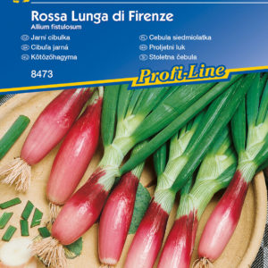 Kötözőhagyma Rossa Lunga di Firenze Kiepenkerl vetőmag