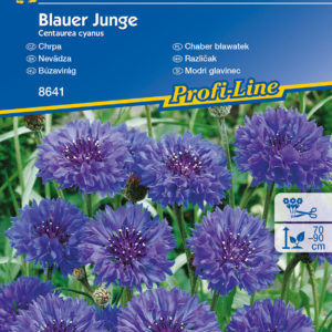 Búzavirág Blauer Junge / Kiepenkerl vetőmag