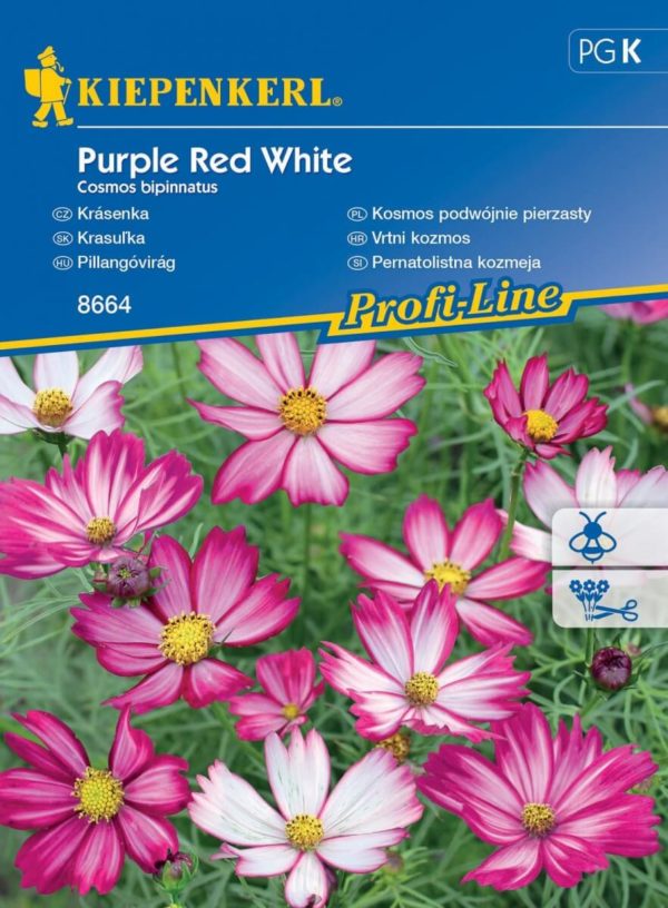 Pillangóvirág Purple red White / Kiepenkerl vetőmag