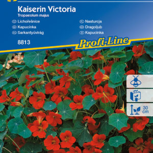 Sarkantyúvirág Kaiserin Victoria Kiepenkerl vetőmag
