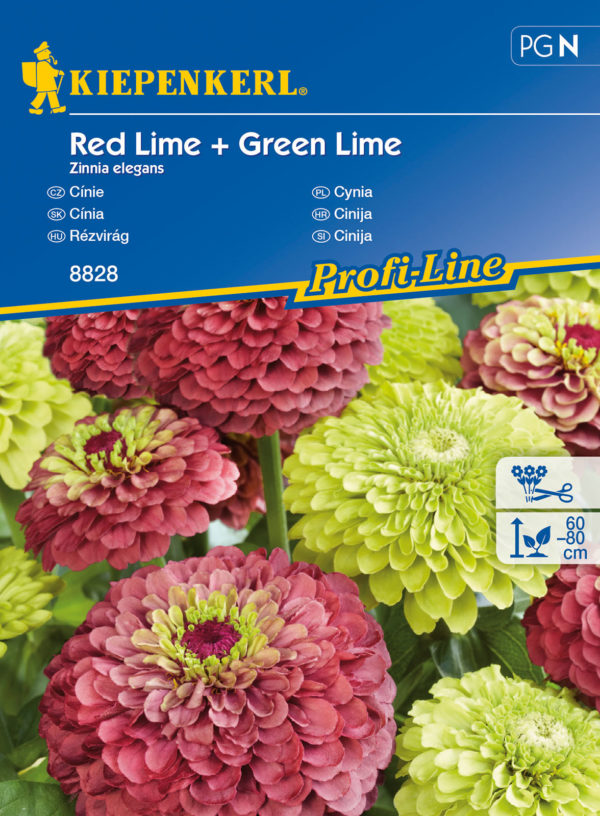 Rézvirág Red Lime Green Lime / Kiepenkerl vetőmag