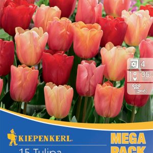 Tulipán Mega-Pack / Jimmy mix