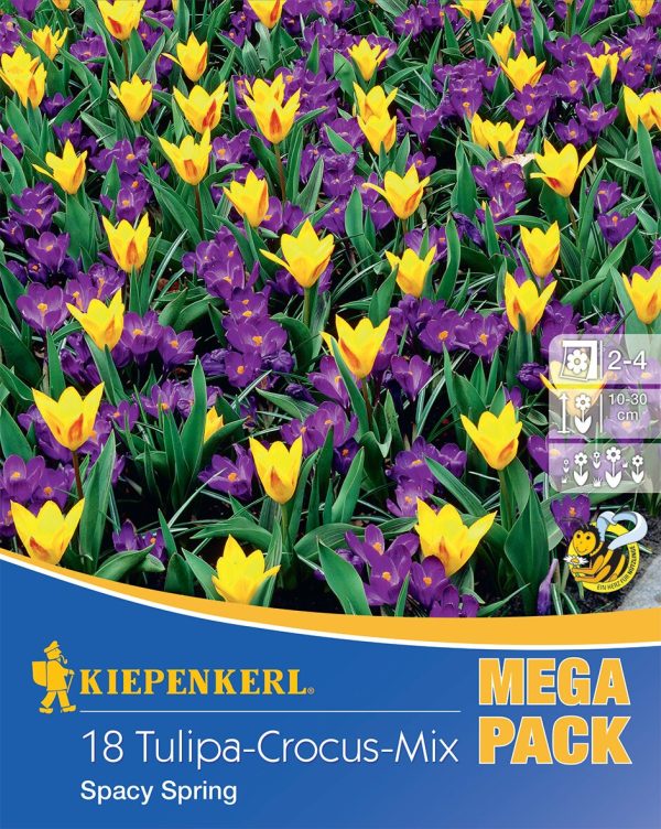 Tulipán és Sáfrány Mega Pack / Spacy Spring Tulipa-Crocus