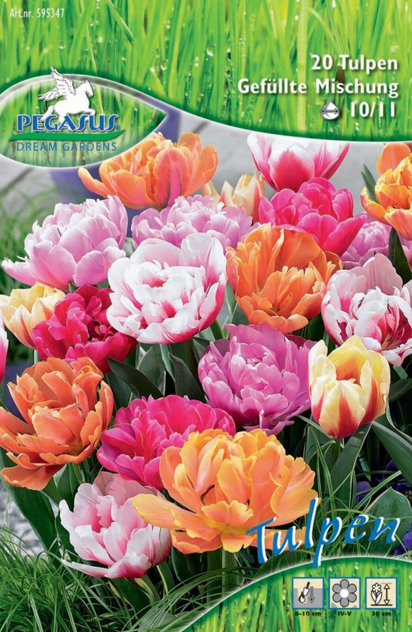 Virághagyma mix / telt virágú tulipánok