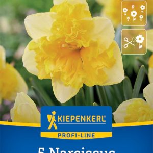 Kiepenkerl Nárcisz / Blazing Starlet virághagyma