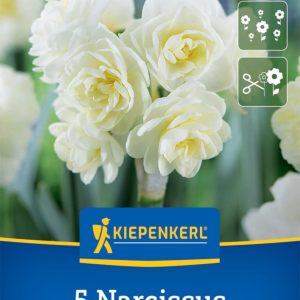 Kiepenkerl Nárcisz / Cheerfulness virághagyma