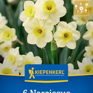 Kiepenkerl Nárcisz / Minnow virághagyma