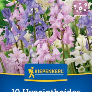 Kiepenkerl Kékcsengő / Színkeverék virághagyma