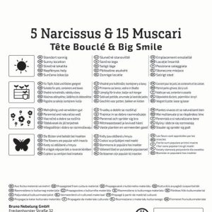 Kiepenkerl Nárcisz-gyöngyike virághagyma összeállítás