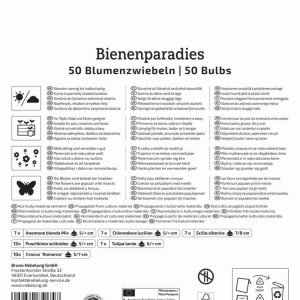 Kiepenkerl Virághagyma mix / Bienenparadies