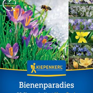 Kiepenkerl Virághagyma mix / Bienenparadies
