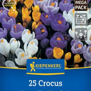 Kiepenkerl Sáfrány Mega Pack / Színkeverék virághagyma