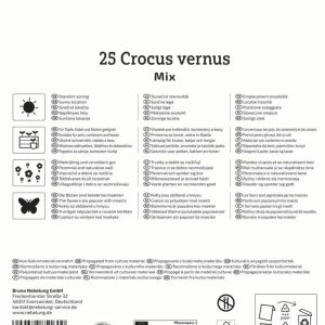 Kiepenkerl Sáfrány Mega Pack / Színkeverék virághagyma