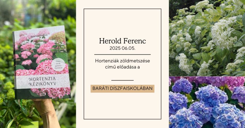 Herold Ferenc a Hortenziák zöldmetszése