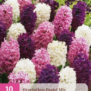 JUB Jácint / Pastel Mix