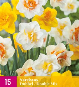 JUB Nárcisz / Double Mix