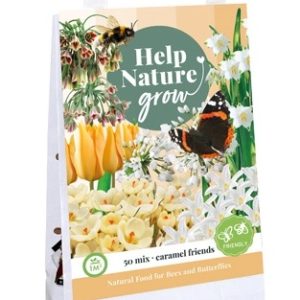 JUB Help Nature Grow virághagyma mix / Caramel friends