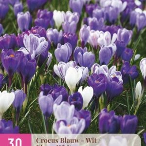 JUB Sáfrány / Blue-White Mix