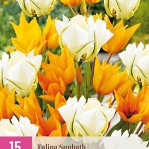 JUB Tulipán / Sunbath