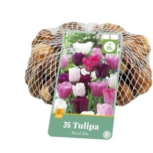 JUB Tulipán / Pastel mix hálós
