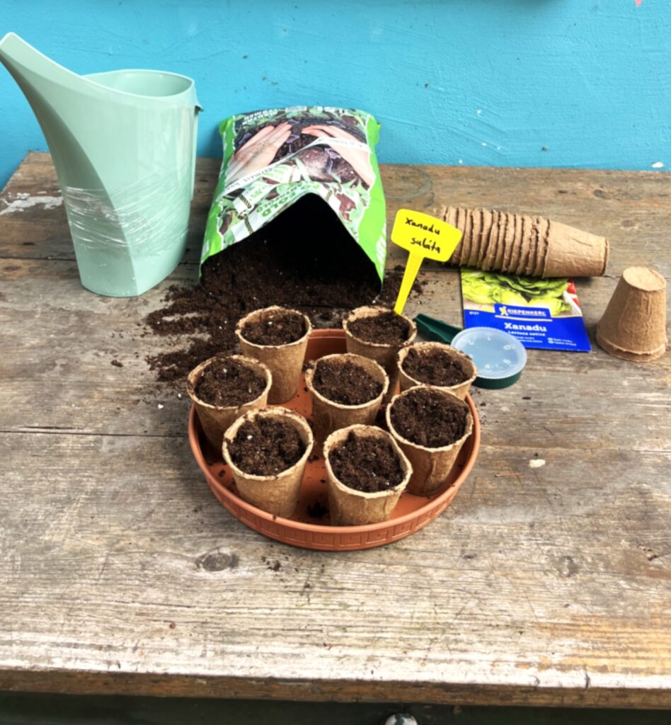 Mi kell a vetéshez?