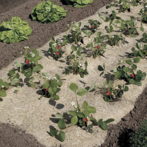 Talajtakató / Nortene Flaxhemp