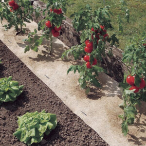 Talajtakató / Nortene Flaxhemp