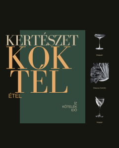 Koktélest a Baráti Dísfzfaiskolában
