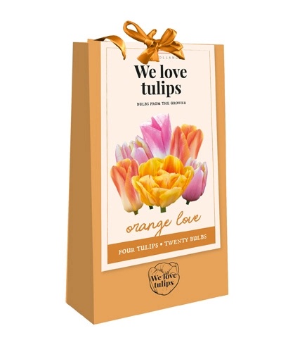 JUB_WE_LOVE_TULIPS_ORANGE_LOVE JUB Tulipán / We love tulips, orange love dísztasakban