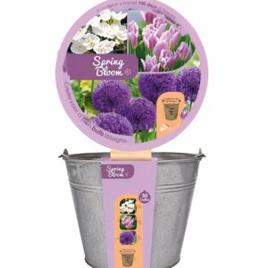 JUB Spring Bloom vödör virághagymával
