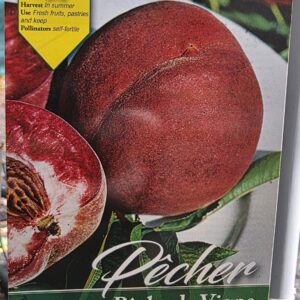 Peche de Vigne (őszibarack, fehér húsú)